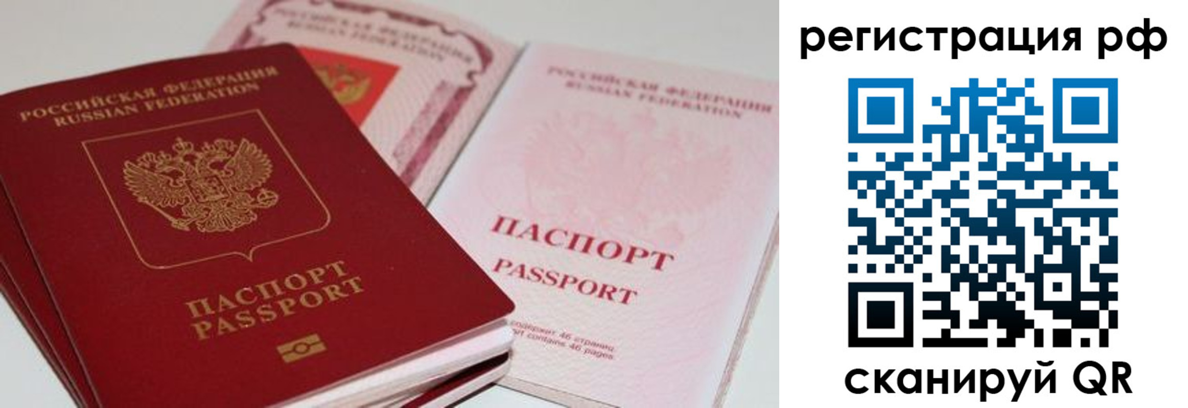 пропишу в квартире в Рязани